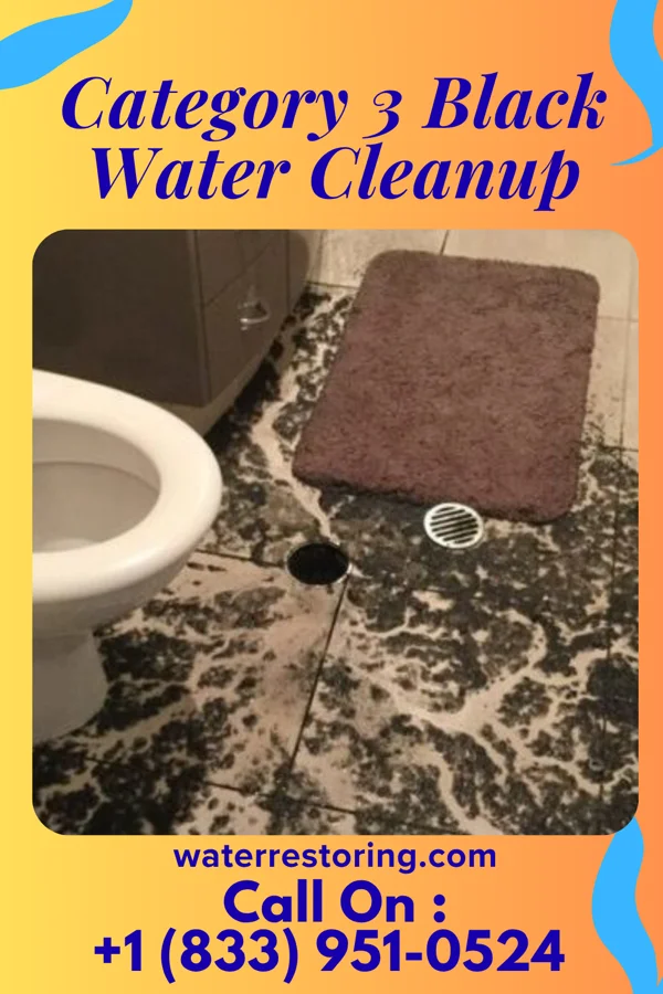 Category 3 Black Water Cleanup in Mapleton, IL