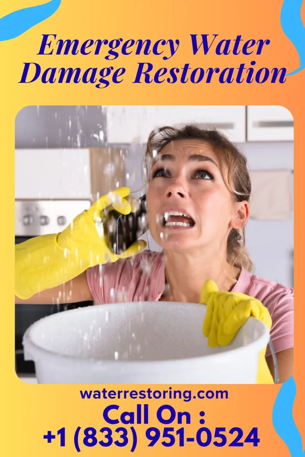 Emergency Water Damage Restoration in Mapleton, IL
