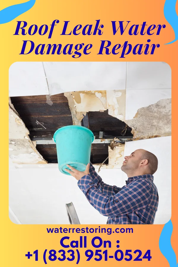Roof Leak Water Damage Repair in Mapleton, IL